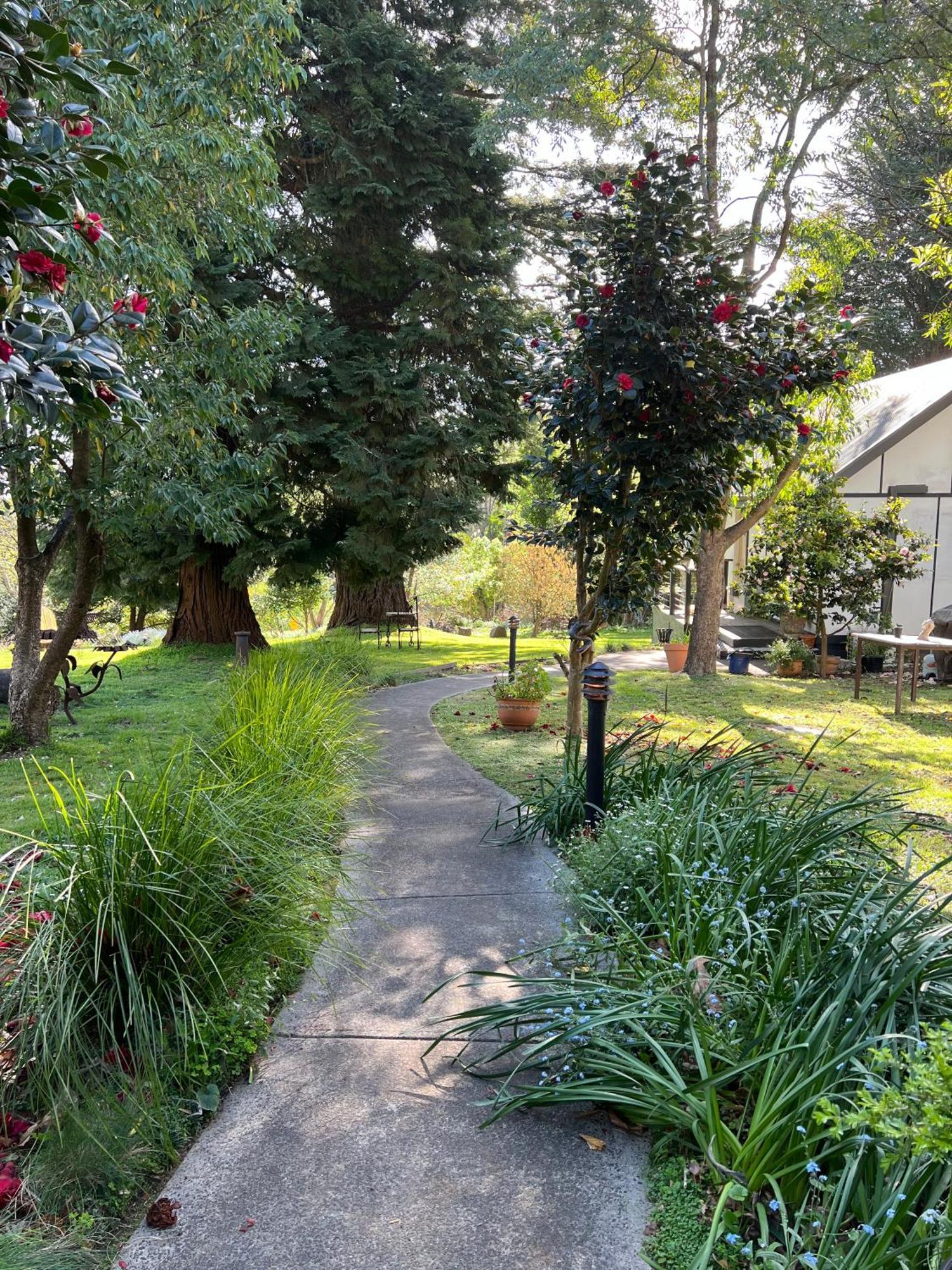 Olinda Country Cottages Εξωτερικό φωτογραφία