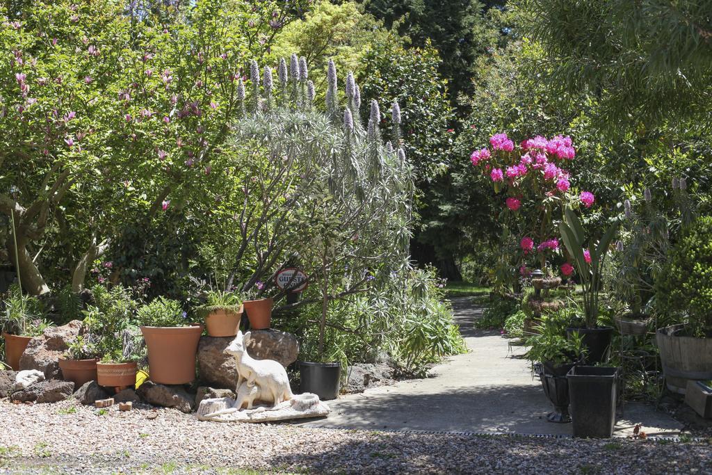 Olinda Country Cottages Εξωτερικό φωτογραφία